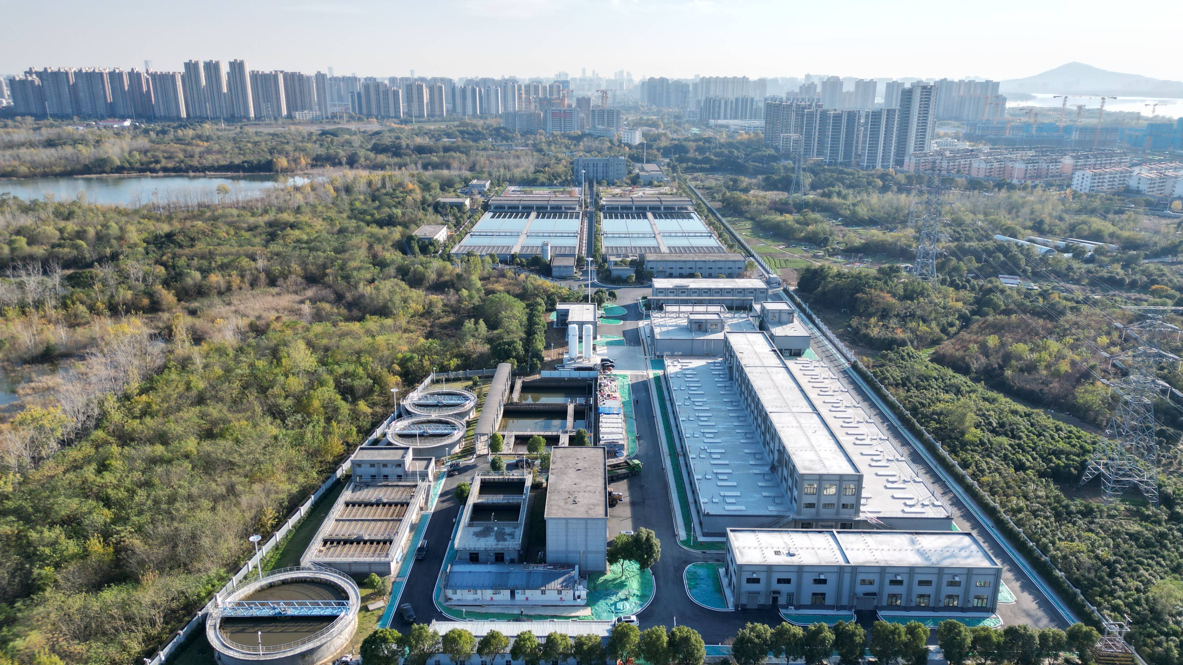 阜阳市合肥专业企业价值增长(合肥市重点企业产业目录)