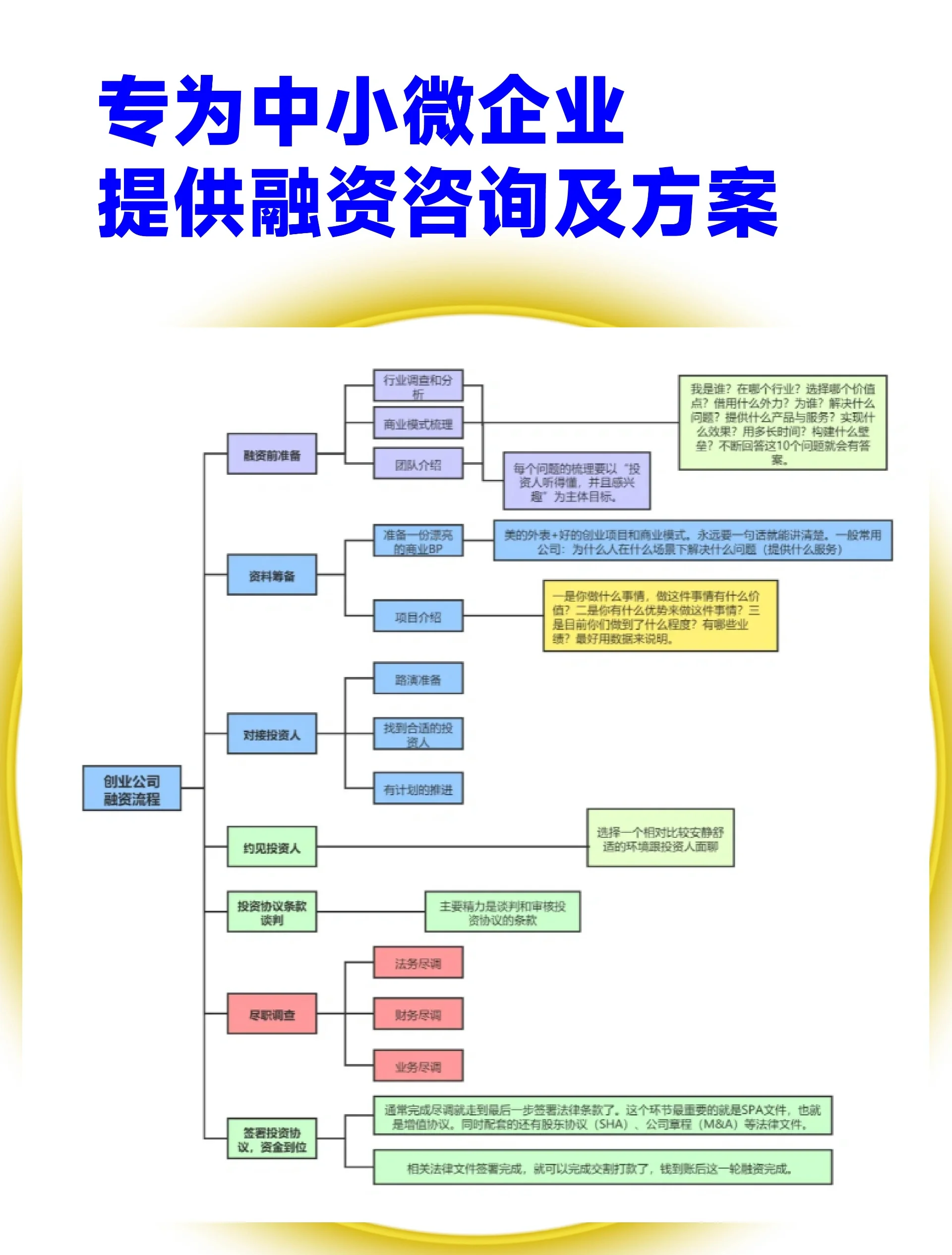 阜阳市宠物企业资金管理(宠物管理机构叫什么)