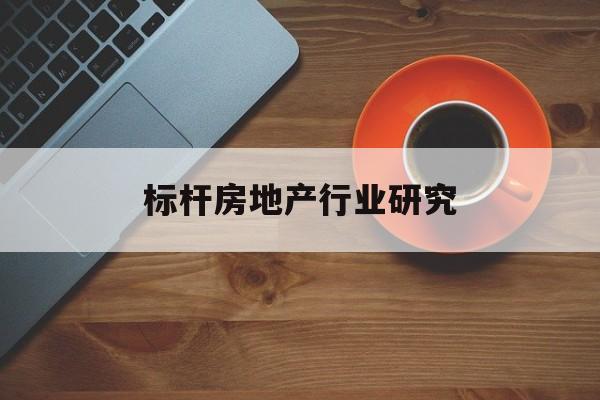 阜阳市标杆房地产行业研究(房地产领域的标杆人物)