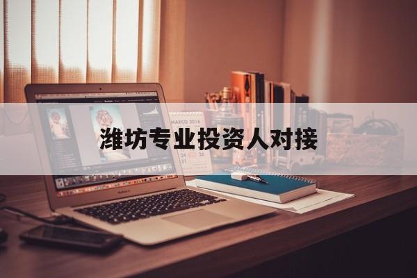阜阳市潍坊专业投资人对接(潍坊专业投资人对接中心)