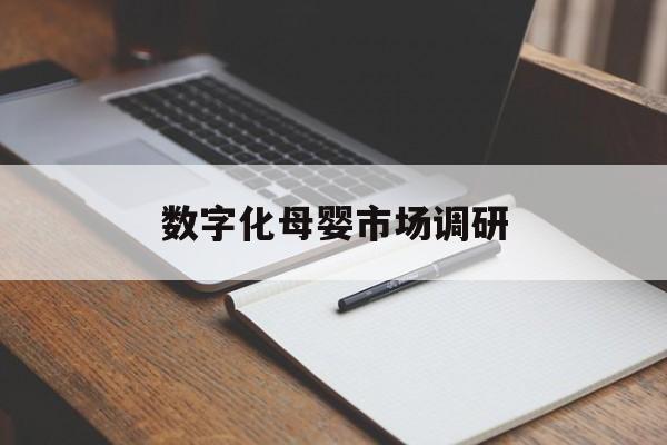 阜阳市数字化母婴市场调研(数字化母婴市场调研报告)