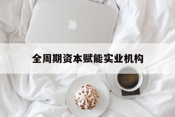 阜阳市全周期资本赋能实业机构(全周期管理)
