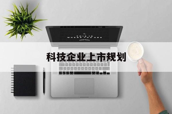 阜阳市科技企业上市规划(大型科技企业 上市)